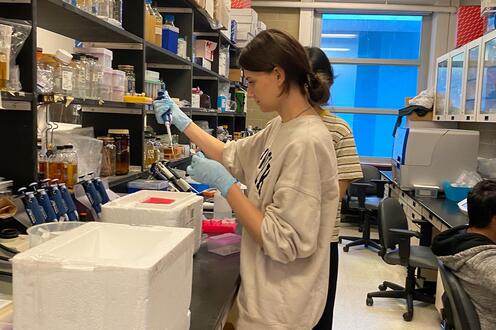 Undergrad student working on an experiment in a research lab 