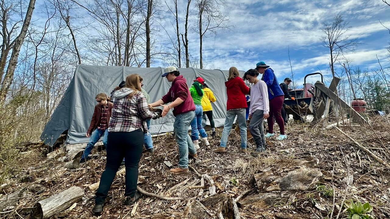 Students gathering materials in nature to build a tipi 