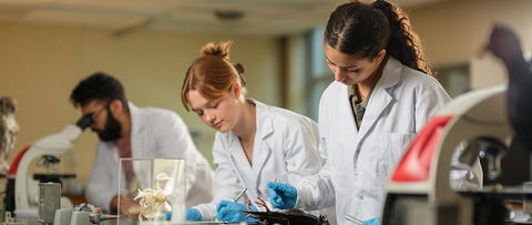 Students in white lab coats work with specimens on a table in a science lab