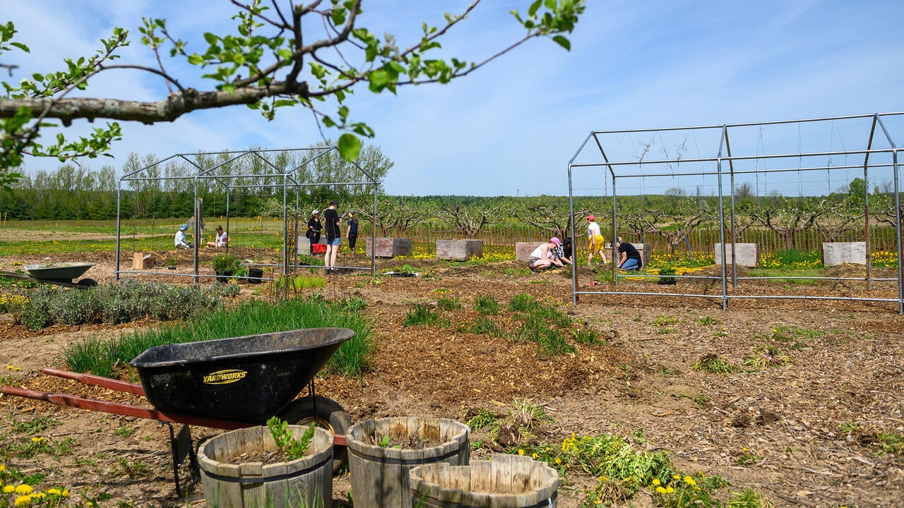 Green Care Farms