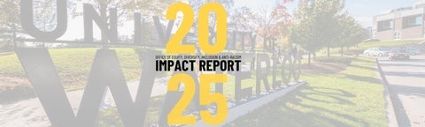 impact report 2025