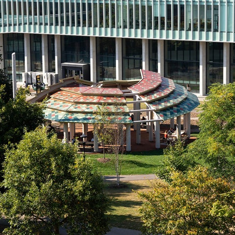 Aerial shot of indigenous gathering space