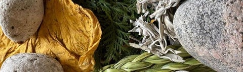 image of traditional Indigenous medicines
