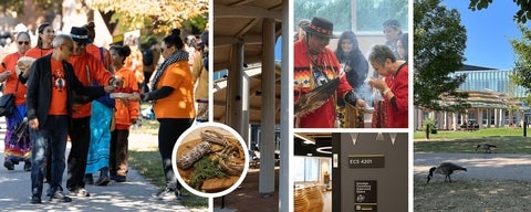 collage of Indigenous photos