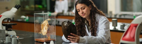 girl looking at shell