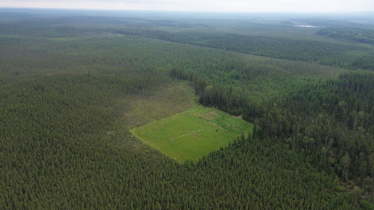 Aerial view of restored peatland showing moss and other vegetation