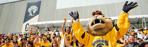 Warriors in black and yellow attire cheering on a sports team