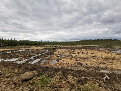 Damaged landscape shows moss planted before it established