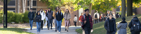 People walking across the University of Waterloo campus along a treelined walking path