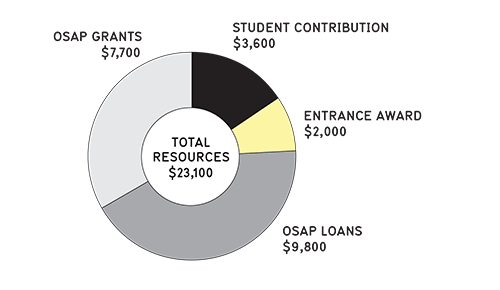 Chart showing how students might pay for first year.