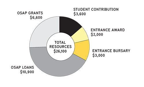 Chart showing how students might pay for first year.
