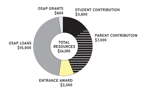 Chart showing how students might pay for first year.