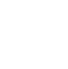 Brain icon
