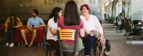 Women sitting at a table in a lounge, one with a guide dog