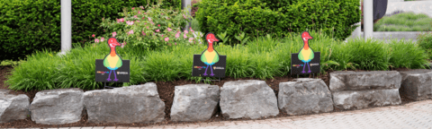 Trans and Non-Binary Equity Strategy