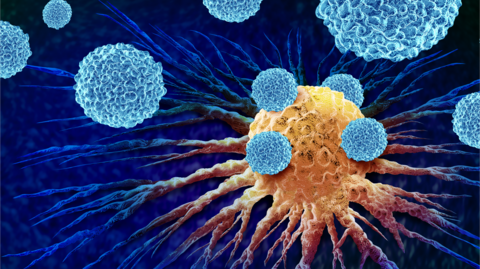 Visualization of a cancer cell