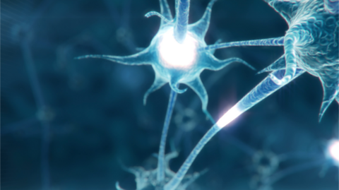 Image displaying neuro pathways